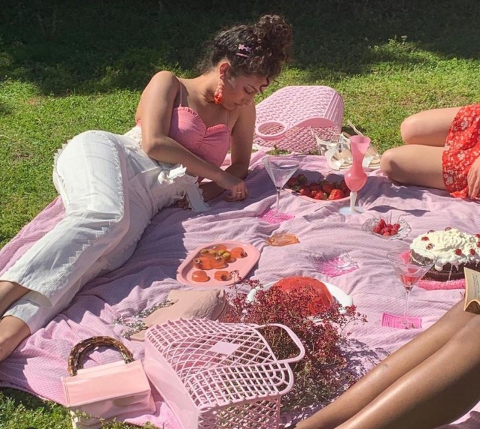 Retro picnic