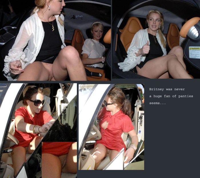 Naked singer Britney Spears