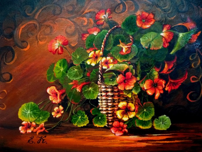 Nasturtium Elena