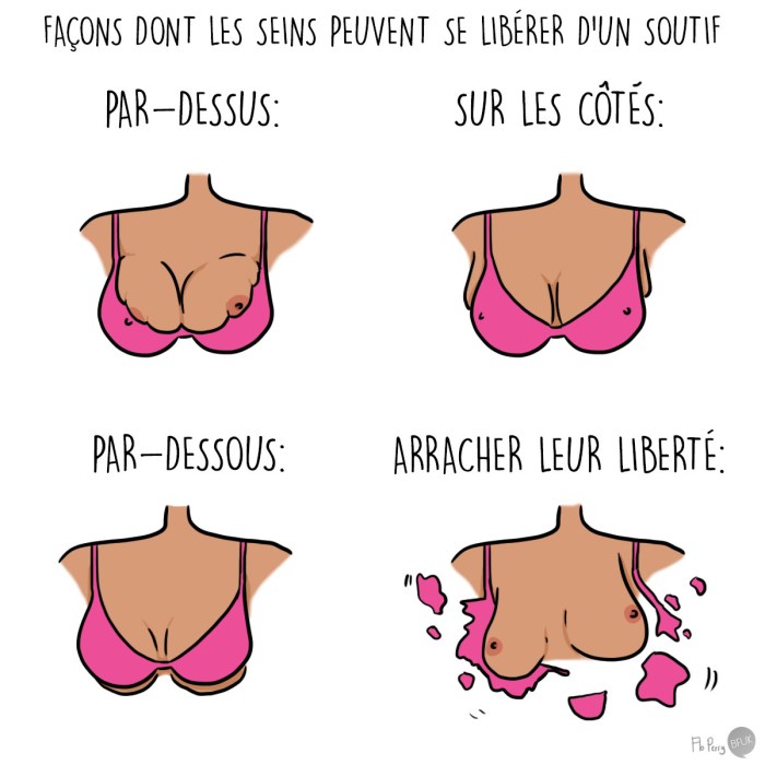 Forms of the chest