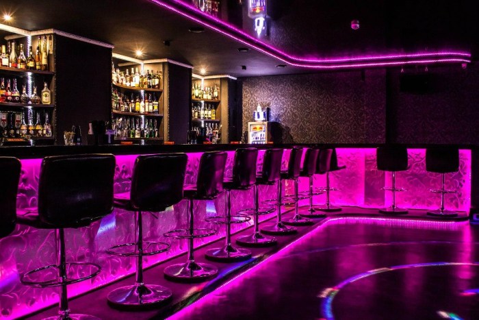 Pornstares in a strip clubs