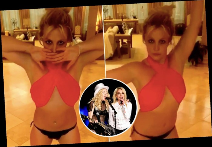 Britney Spears Thong