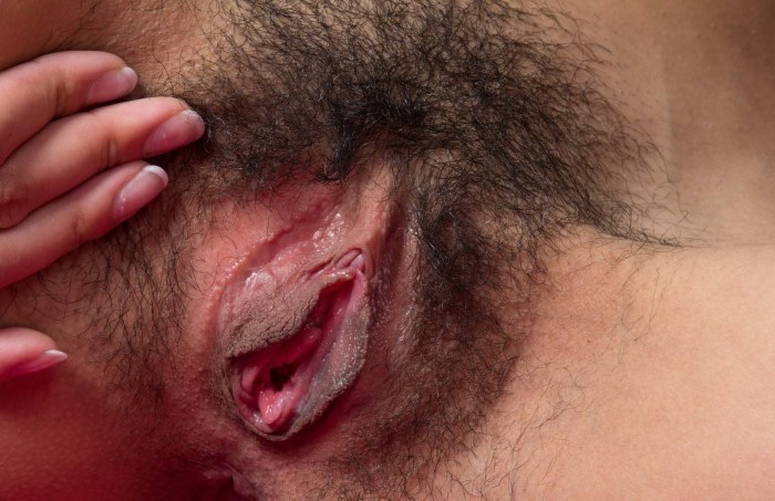 Hairy vagina close -up