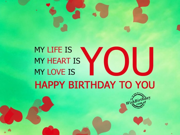 Happy Birthday to You My Love