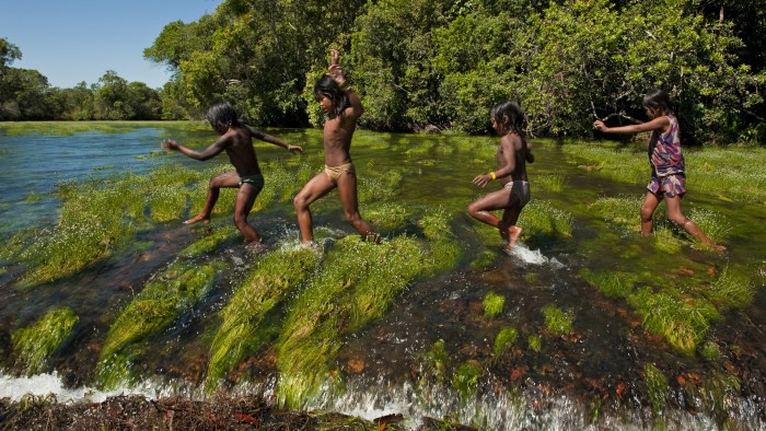 Naked men and women in nature