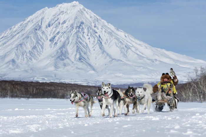 Beringia Kamchatka