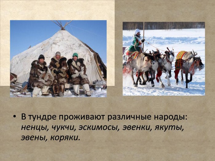 Nenets Chukchi Evenki