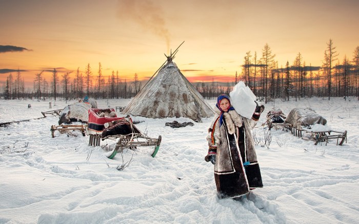 Nenets plague in the tundra