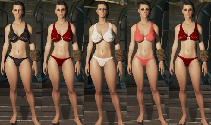 Fallout 4 Cbbe underwear clothes
