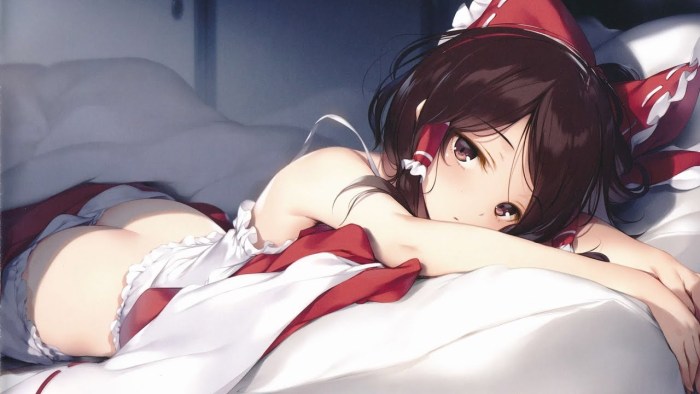 Reimu Hakury Echchi
