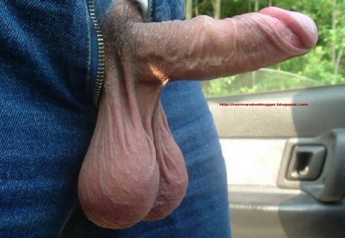 Male testicles close -up
