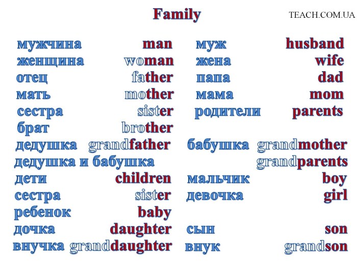 Words on the theme of the family in English with translation
