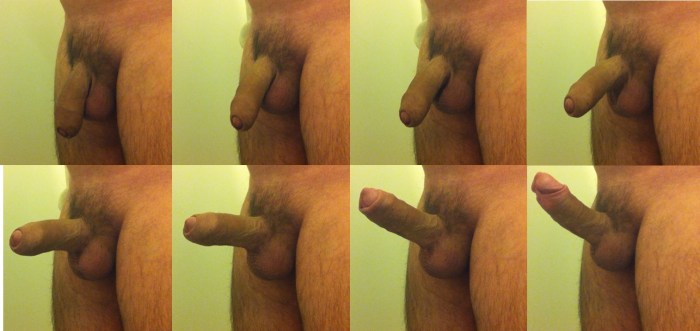 Cut