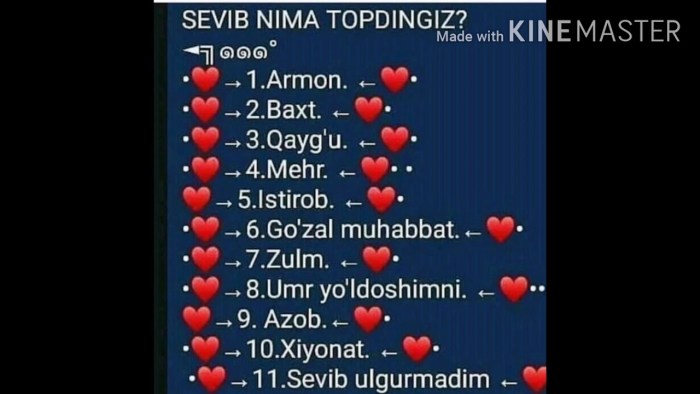 Sevgi Muhabbat