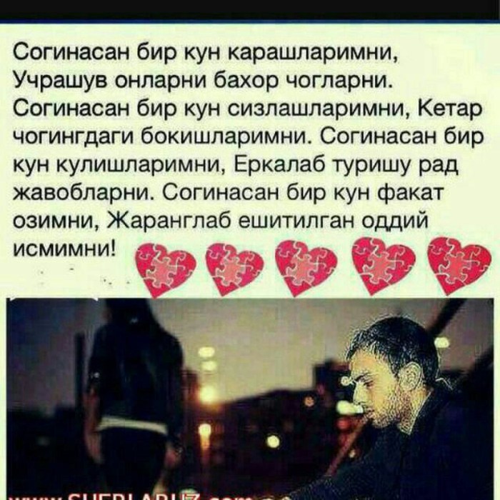 Sevgi Hakid Cher