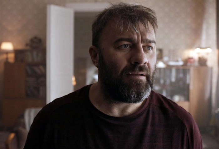 Series with Porechenkov 2021