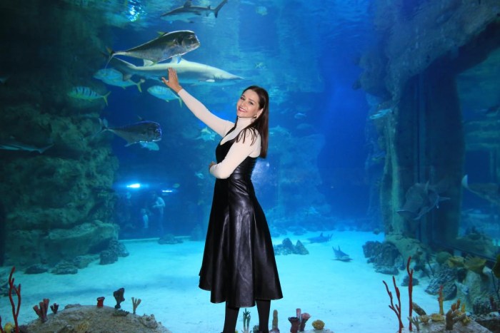 Moskvarium Mermaid