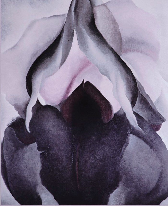 Fruits similar to the vagina