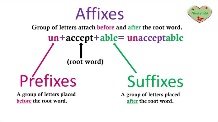 Affixes Prefixes and Suffixes rule