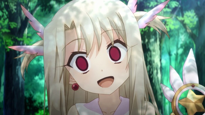 Fate Illya
