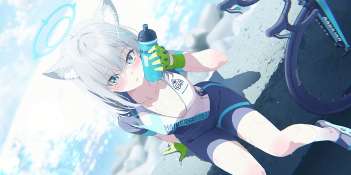 The blue archive of anime