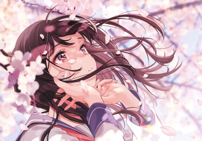 The look up the anime
