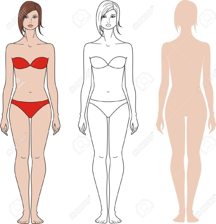 The female body is schematic