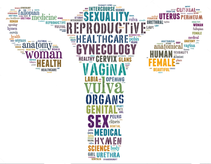 The word vagina on a white background
