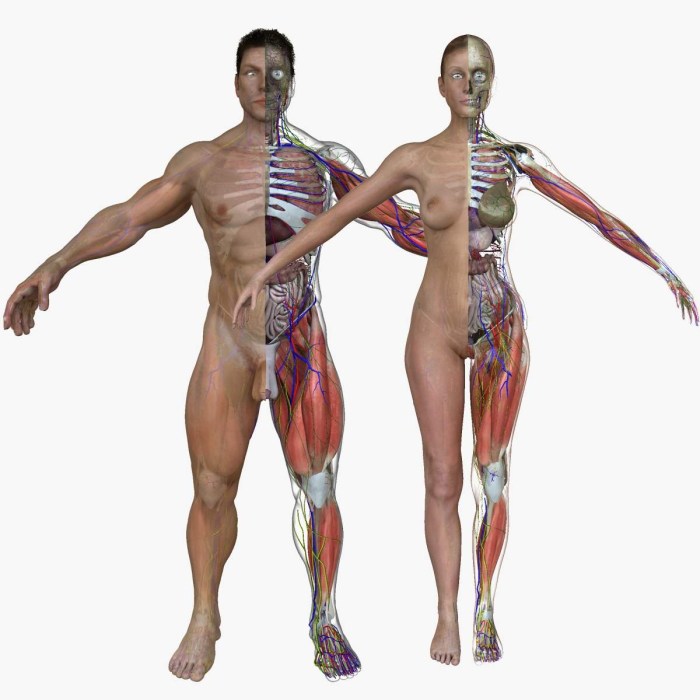 Male and Female Jackson 18