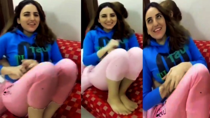 Hareem Shah Leak Pictures