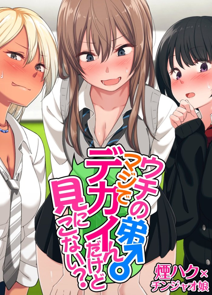 Anime Uchi No Otouto Maji de Decin Dakedo