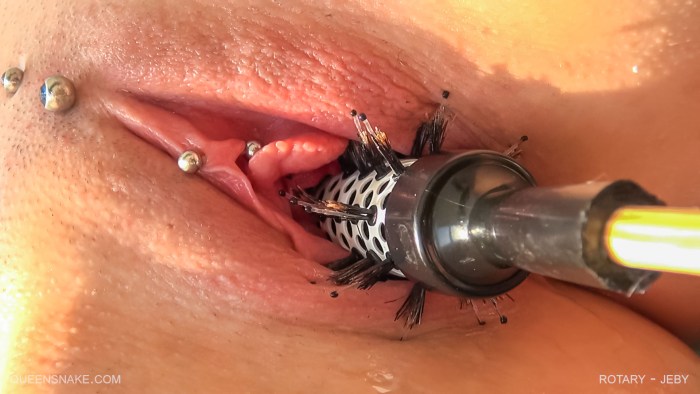 Insects in a female pussy