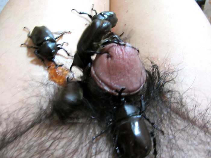 Formicophilia earthen worms