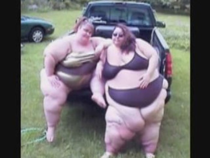 Funny videos about fat