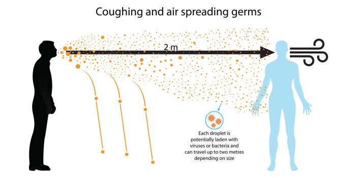 Coronavirus in the air