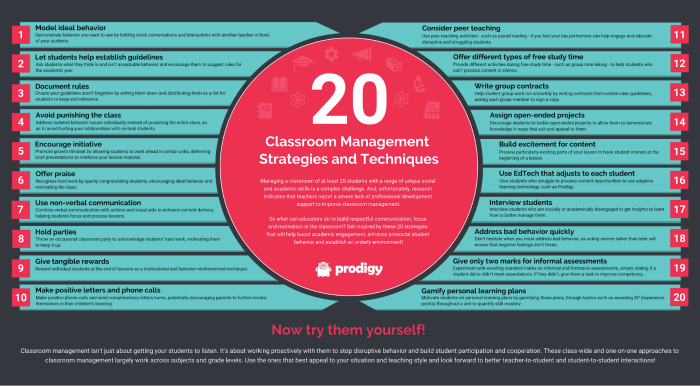 Classroom Management infographics