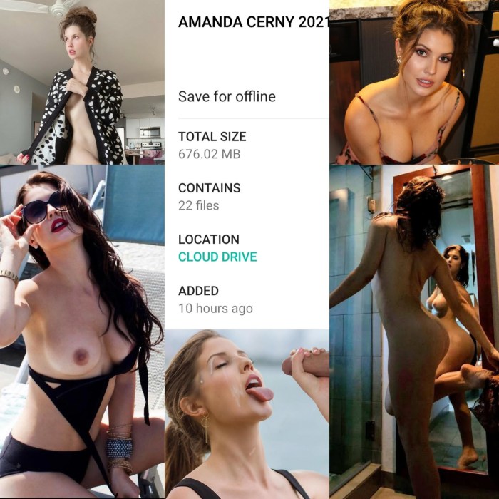 Amanda Kerni agreed to fuck for money