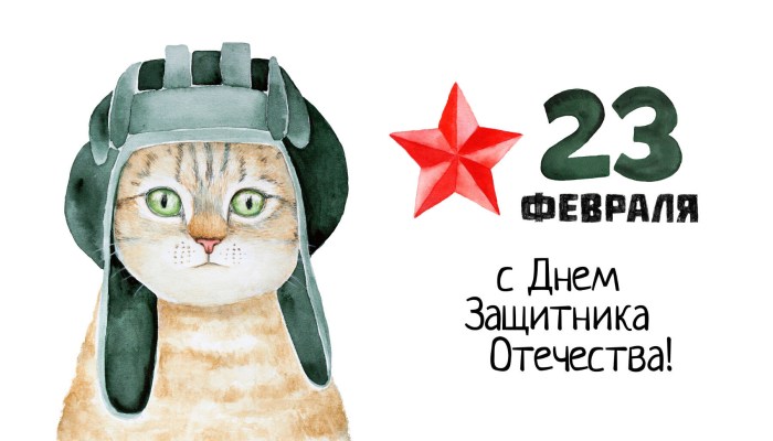 February 23 cats