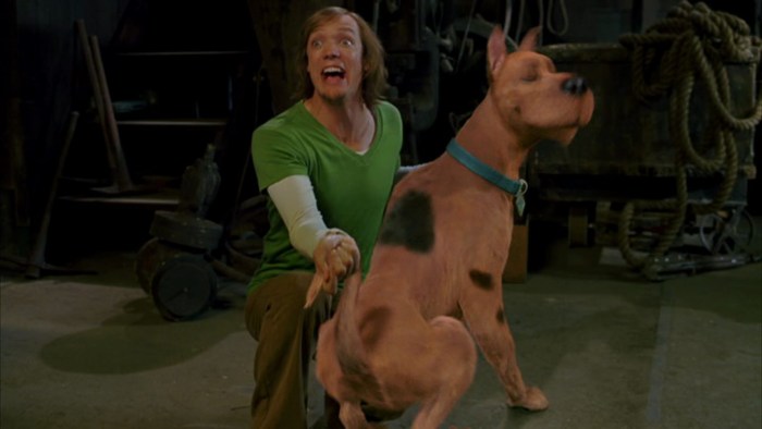 Shaggy scooby doo movie