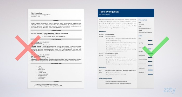 The resume of the programmer