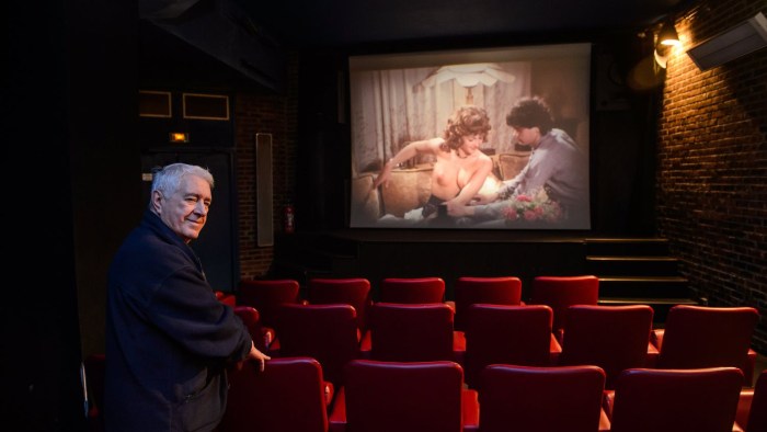 Pornographic cinema