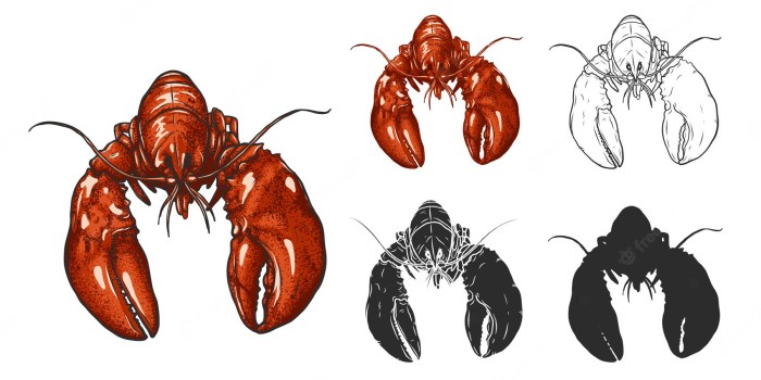 Lobster wallpaper drawing