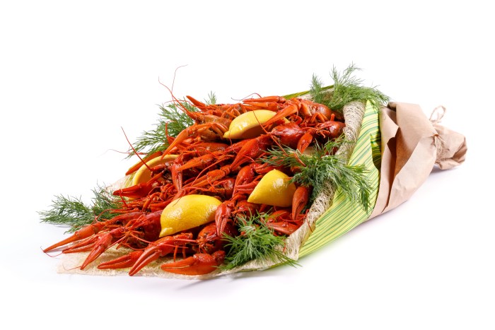 Coloring the zodiac sign of crab