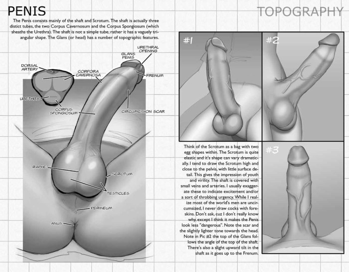 Doctor gyno gynecological chair