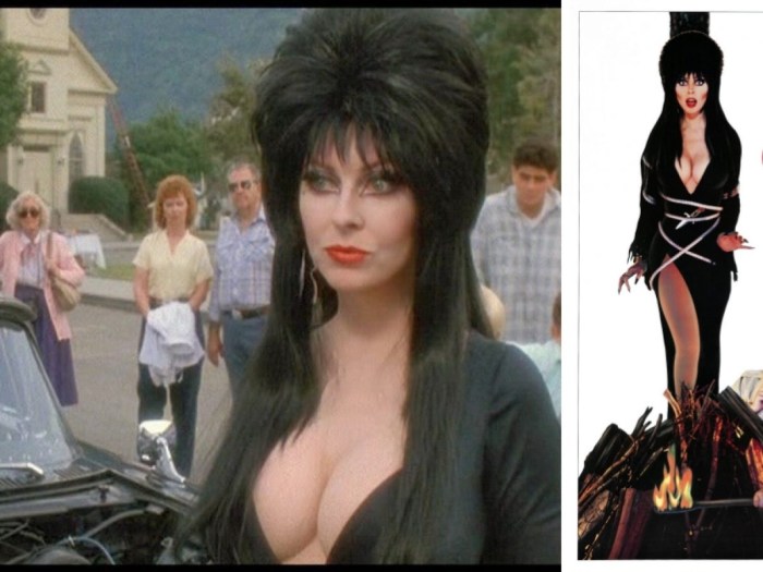 Elvira Lord of Darkness Masturbation