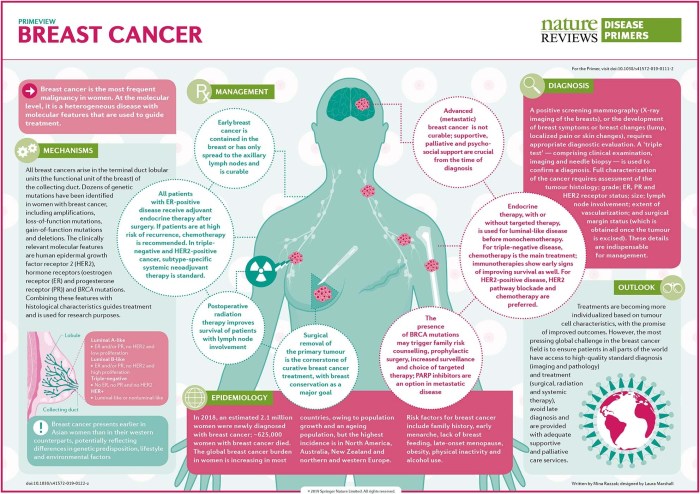 • BRCA2: Breast Cancer 2, Early Onset