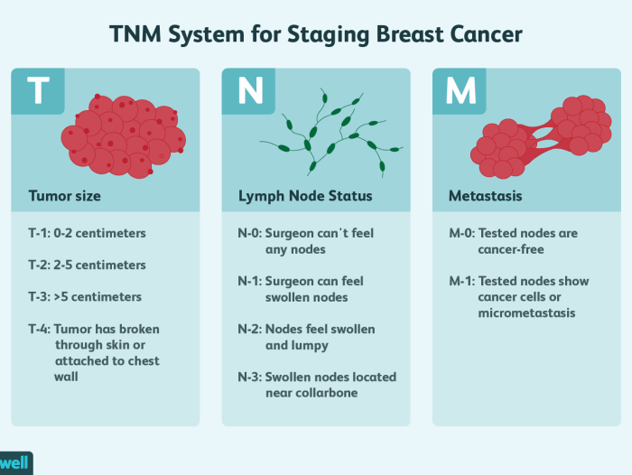 Healthy breasts
