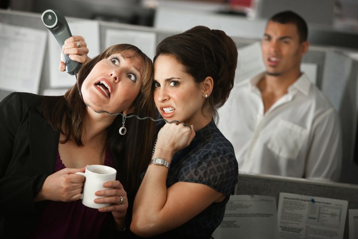 Girls Fight Hairpulling