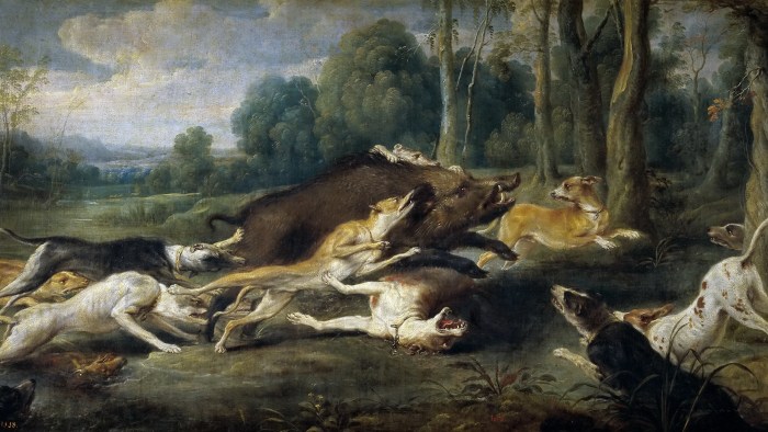 Mating wild boars