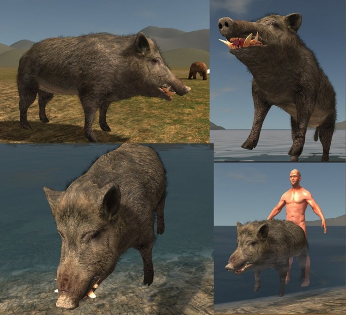 Boar girl art